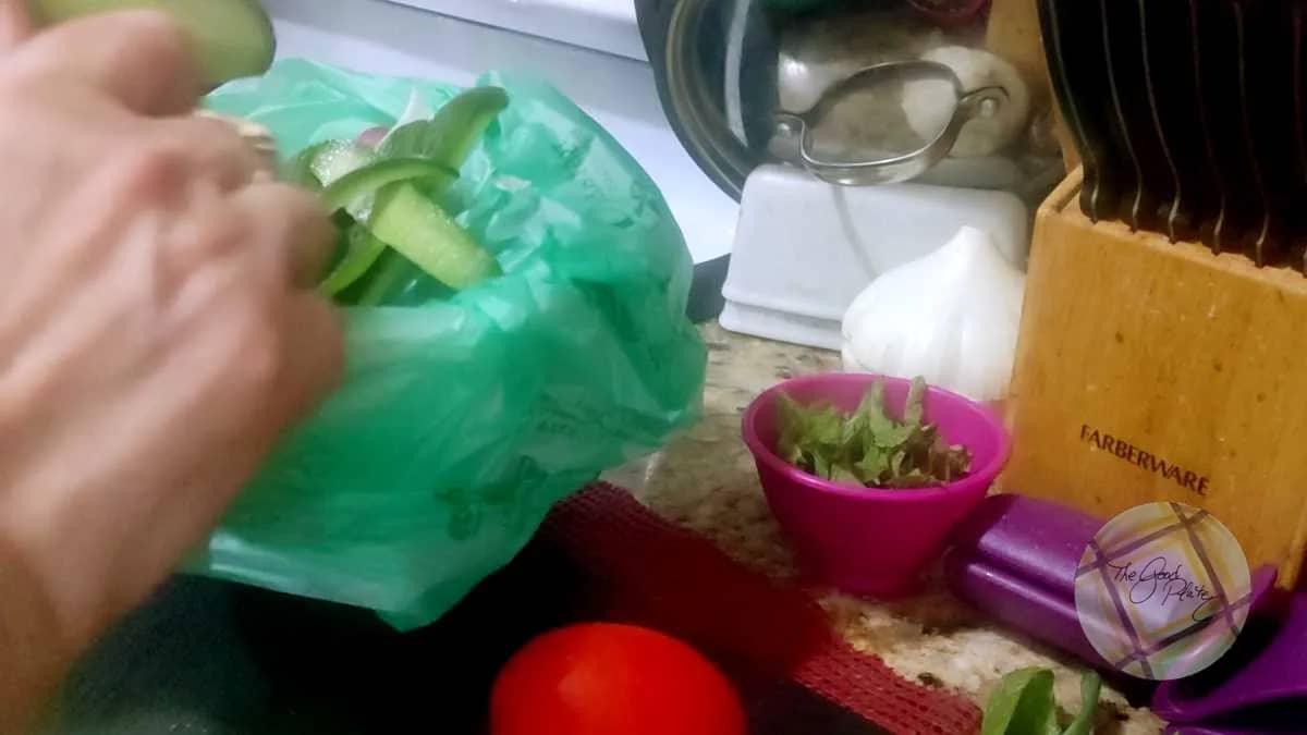 countertop organics compost container