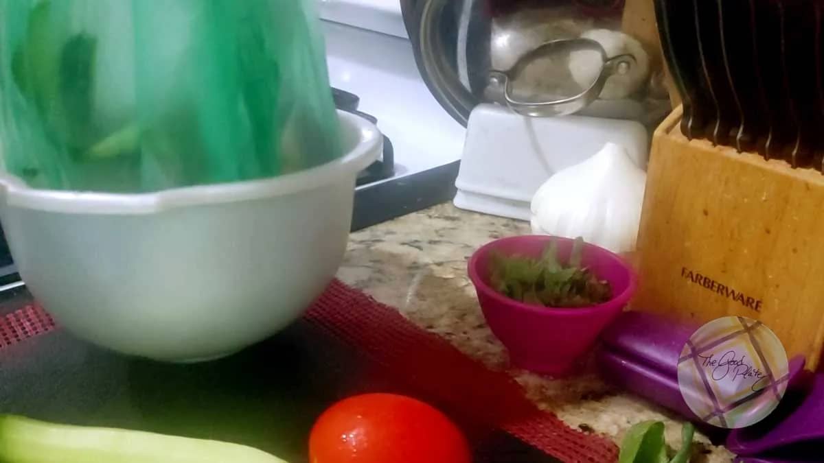 countertop organics compost container