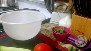 countertop organics compost container
