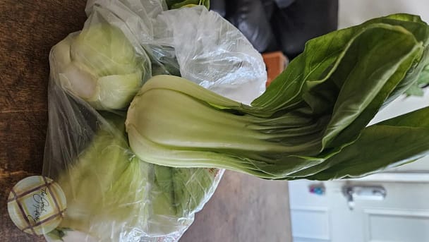 Bok Choy Chicken Soup Bok Choy